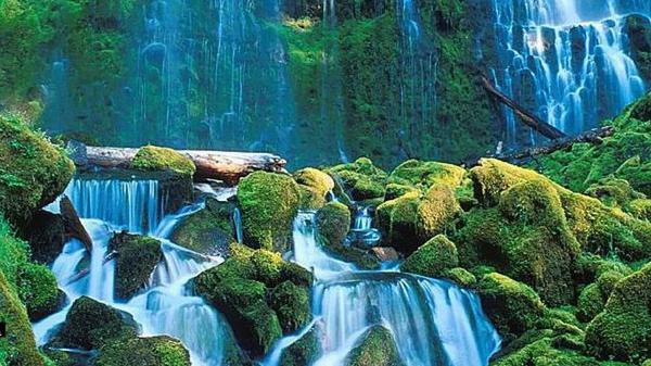 waterfall stream between algae covered rock in waterfalls background